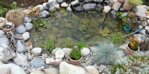 Nassbiotope